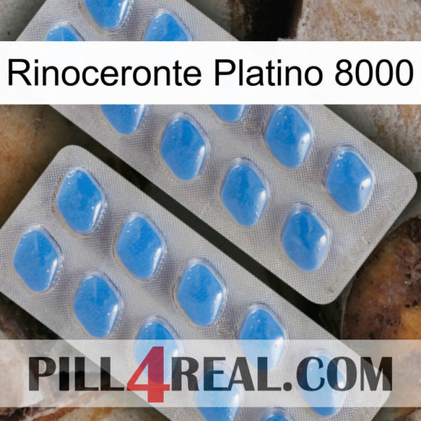 Rhino Platinum 8000 23.jpg